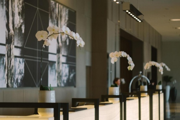 Seda Vertis North image 30